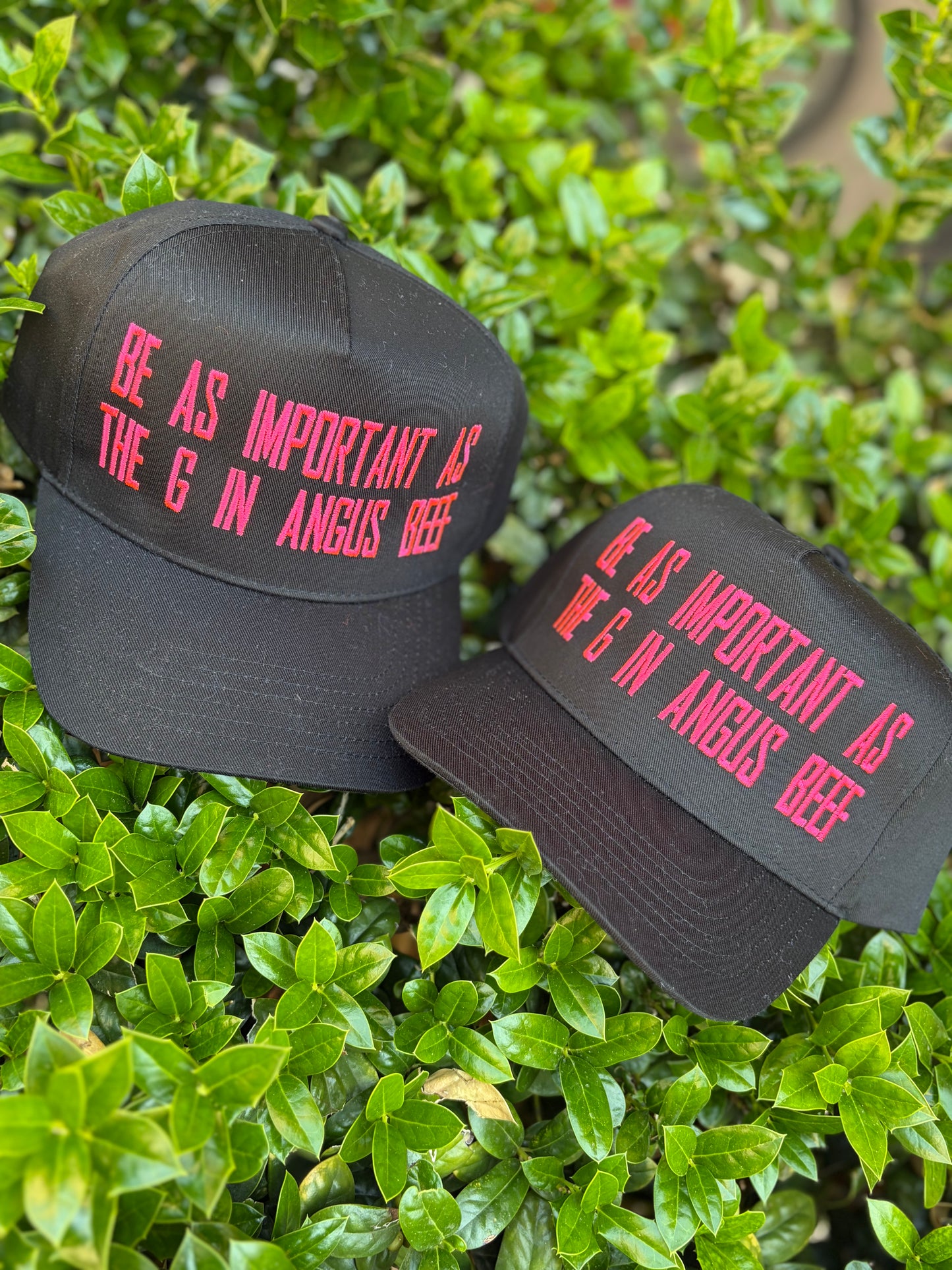 BE AS IMPORTANT AS THE G IN ANGUS Otto cap