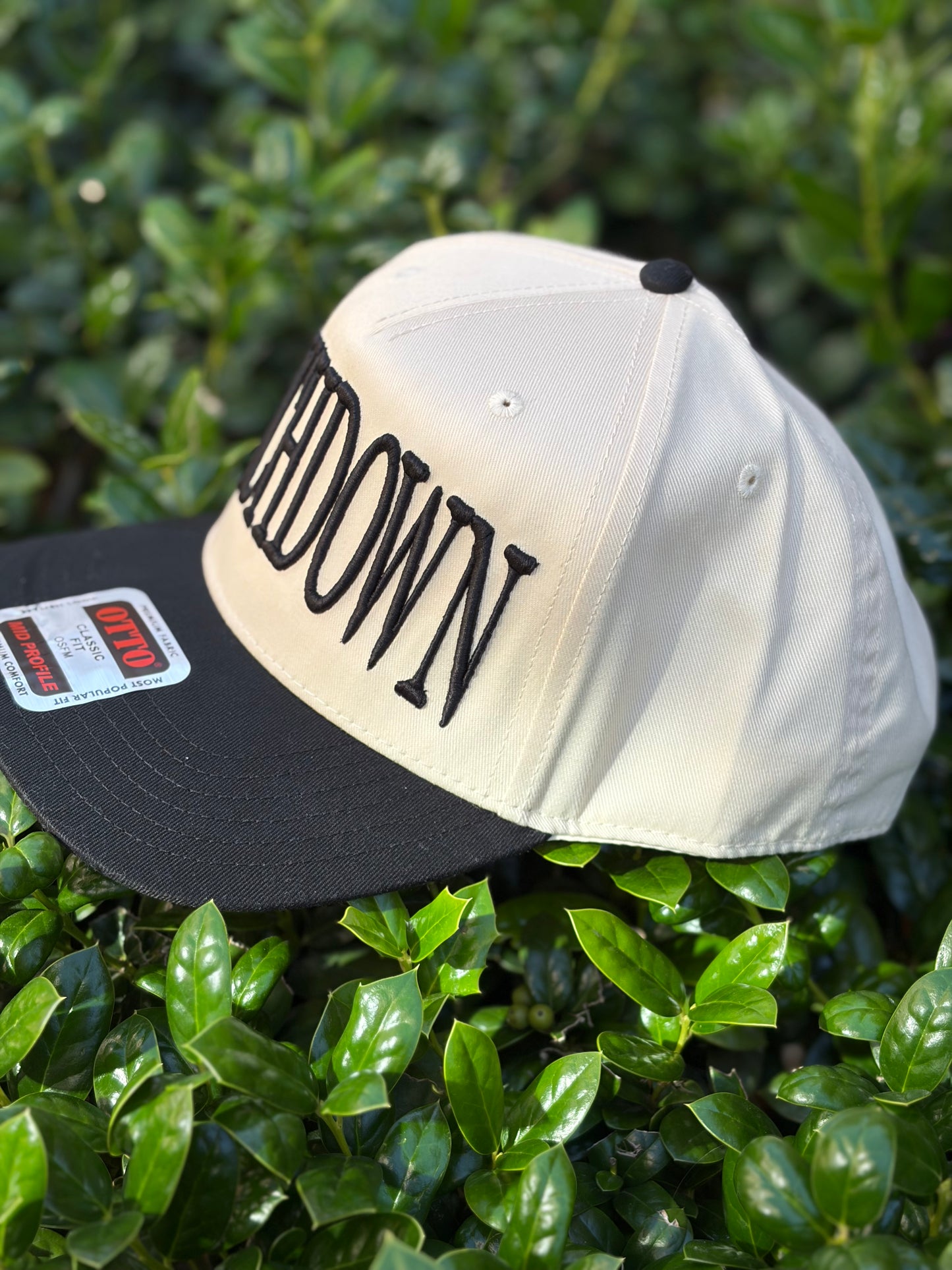 TOUCHDOWN 3D Puff Embroidered Hat